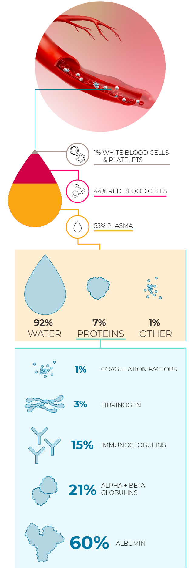 Glassware tube filled Fractioned blood, plasma and layers red