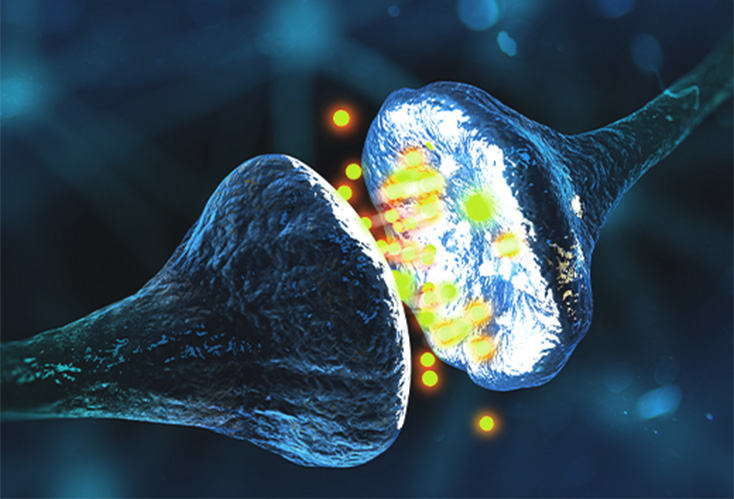 Impfstoff gegen die Alzheimer-Krankheit